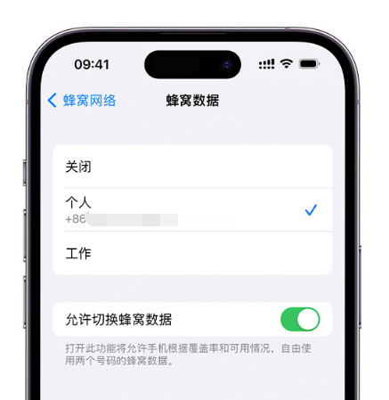 鲅鱼圈苹果维修服务分享如何在iPhone上使用双卡 